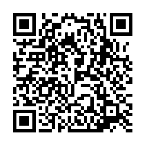 不多时便有几个宫人抬着同样神识不清的恭王进来了二维码生成