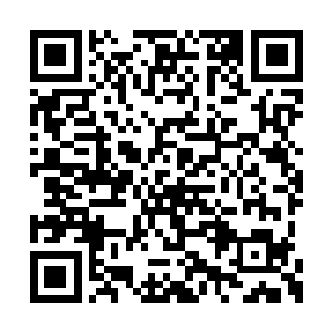 不大片刻功夫便开始滋润修复着自己受伤的部位二维码生成