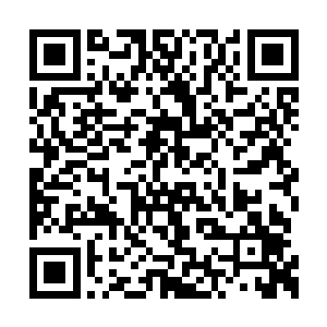 不大的声音却让在场的所有人的心弦一下子绷紧二维码生成
