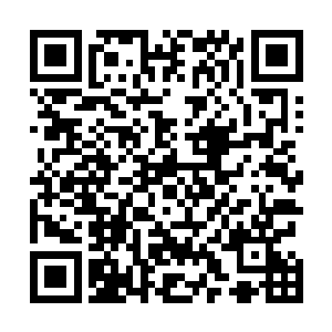 不太可能指望一两种单一形态的经济组织形式就包揽全部二维码生成