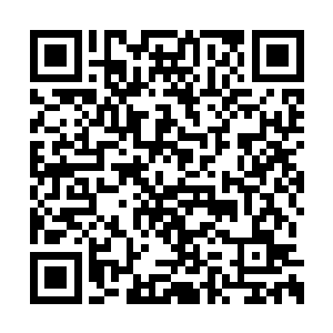 不太适合我……还是怀念小辉给我定制的小刀啊二维码生成