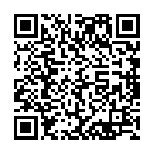 不好好吃饭就会生病……当然如果你能阻止它不进去二维码生成