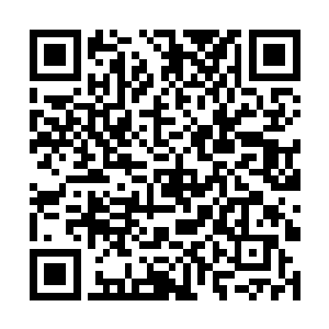 不好好过日子拿家产不当回事去支持革命的更不好找二维码生成