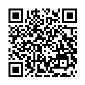 不如一起商讨合作操作这一项目的可行性二维码生成