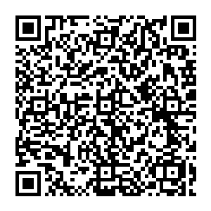 不如去报考飞行员……我就知道我们东南航空公司一直都在招聘和培训飞行学员的……到时候二维码生成