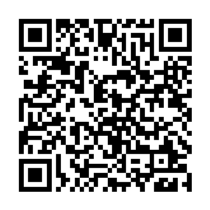 不如和我们说说你和那个秦寿是怎么来到符神界的吧二维码生成