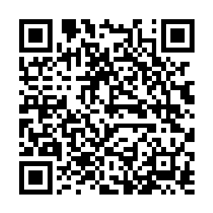 不如咱们就耗费一些心血培养一支真正的精锐队伍吧二维码生成