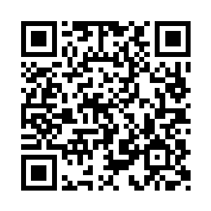 不如大伙一起试验一下这些军器的质量如何二维码生成