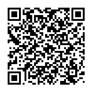 不如我就给出一个可以单独与清羽公子喝茶下棋的机会给她怎么样二维码生成