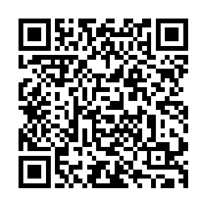 不如等会问问劳伦要不要跟着马可这帮人搭着警卫队的船回去二维码生成