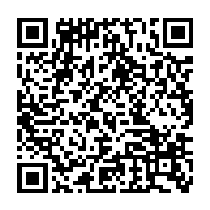 不妨就说些可以托以腹心的话…………我如何就看得惯这南来子了二维码生成