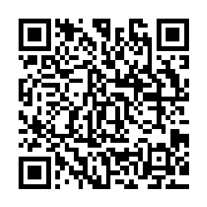 不对……应该是魂虚……那就是说你在这画中界中只有魂魄虚体二维码生成