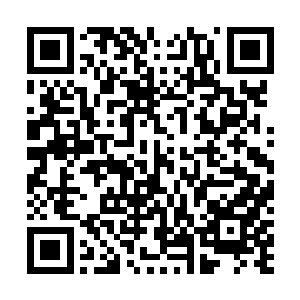 不小心被她刚才摔碎的酒瓶碎片给划出了一条细长的口子二维码生成