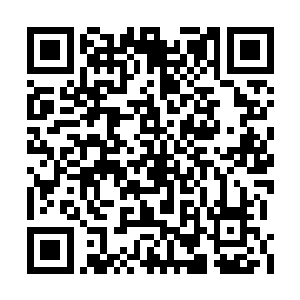 不少人却都开始暗骂马纵横根本就不是说理的主二维码生成