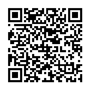 不少人拿上百颗妖将低级的妖丹才能兑换一枚上品二维码生成