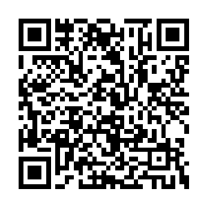 不少人看到火堆旁边那一大堆果壳表示出了意外二维码生成