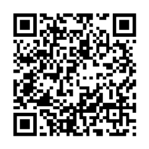 不少人远远地跟在他们身后来到了王胡子的收购站二维码生成