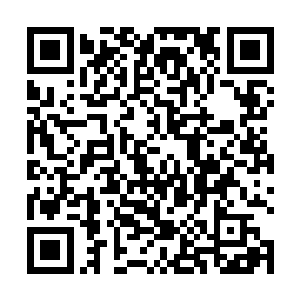 不少人都亲眼目睹了秦方轻松收拾了葛兰部落的小公主二维码生成