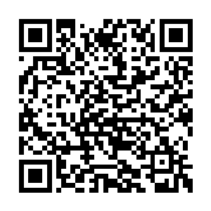 不少人都开始期待着这位顶级天后的下一张专辑二维码生成