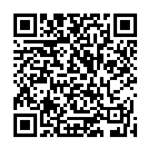 不少仙家领了自己的孩子或者优秀的弟子前来我宗门提亲二维码生成