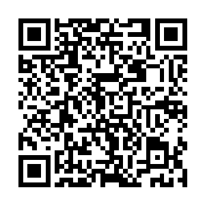 不少佣兵都满怀好奇地看着纳斯里能否赢过那群怪人二维码生成