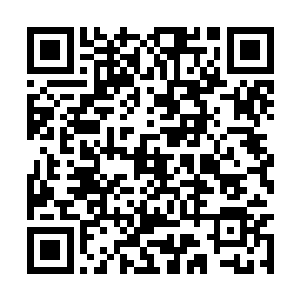 不少元婴大修士都与宗主间爆发了不可调和的矛盾二维码生成