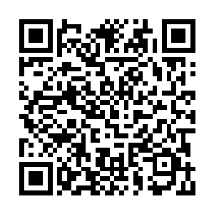 不少原本正常的双胞胎在母体中遭受了过量辐射二维码生成