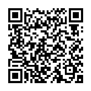 不少强者都想询问这毁灭生灵在传承之墙里面到底有什么收获二维码生成