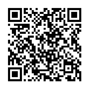 不少棒子国内的年轻高手都纷纷叫嚣着要跟秦方一战二维码生成