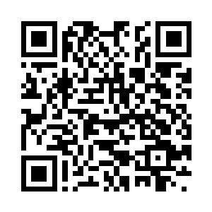 不少森林叶迷的双眼在体育馆的灯光照耀之下二维码生成