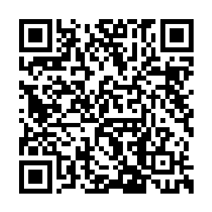 不少消息灵通之辈此刻对杨开这个人都有些怨言二维码生成