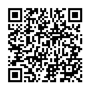 不少花瓣和叶子在雨水的冲刷下都纷纷在往下掉二维码生成