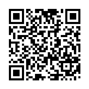 不就是一道海鲜汤吗竟然功力这样的强大二维码生成