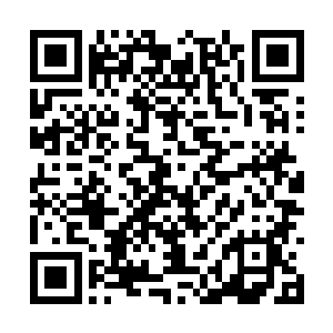 不就是上次仙来峰招婿大会最后的获胜者杨一天吗二维码生成