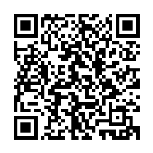 不就是为了自己和云二能在这个新的世界里也保有吃肉的权利吗二维码生成