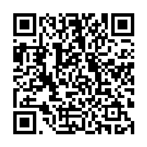 不就是为了让你的爷爷可以风风光光地回到国内来吗二维码生成