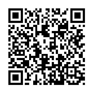 不就是为了这么个深入到荒芜之地中心的机会吗二维码生成