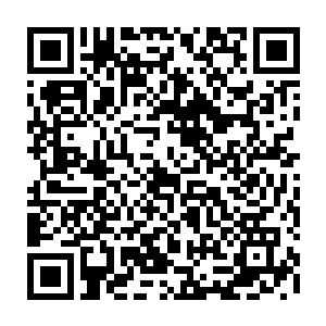 不就是将白衣大教主和自家的狗拿来比较了么下面听懂了的武者和基因战士们二维码生成