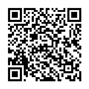 不就是当初跟林放那小子定下娃娃亲的那个纪家丫头吗二维码生成