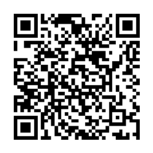 不就是想击杀那个魔族的大地影魔给自己脸上贴金吗二维码生成