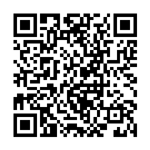 不就是想要激我要么自己去找路子调回来别依靠甄家二维码生成