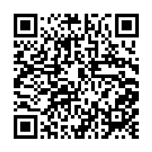 不就是想要看一看苏文的作品内涵是否直线上升了么二维码生成