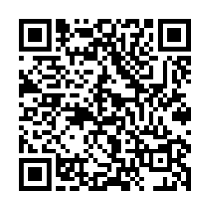 不就是父王常常挂在嘴边的很得皇爷爷喜爱的五叔吗二维码生成