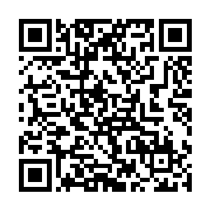 不就是靠一个个这样的缓冲带和假装来维持关系的吗二维码生成