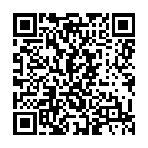 不希望接下来的左骑军主帅时不时跟他这位太上皇打照面二维码生成