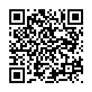 不应该为国家和社会贡献一点自己的力量吗二维码生成