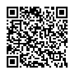 不应该继续浪费时间思考怎么拯救注定要死的人二维码生成