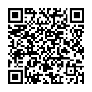 不应该连如何掌控身体和大脑的基本常识都不知道二维码生成