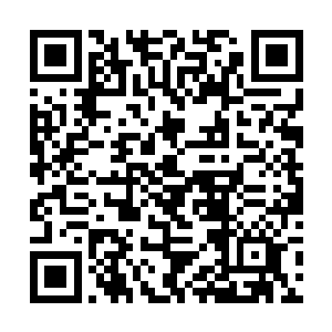 不得不在沒有做好准备的情况下提前斩断七情六欲时二维码生成