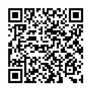 不得不委身下嫁给一个南方乡下地方的小领主也就罢了二维码生成